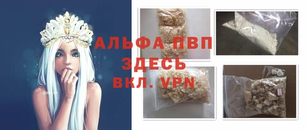 индика Алексин