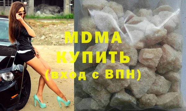 индика Алексин