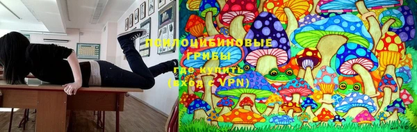 дмт Алзамай