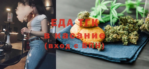 индика Алексин