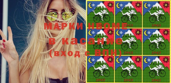 индика Алексин