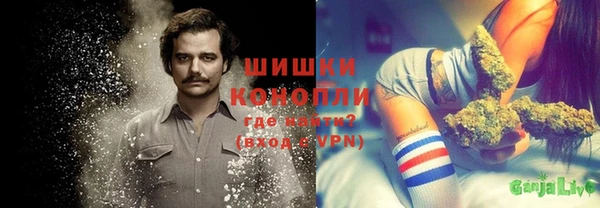 индика Алексин