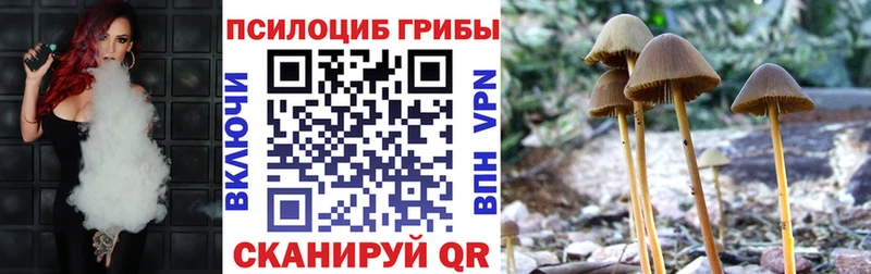 купить  цена  Кинель  Галлюциногенные грибы ЛСД 