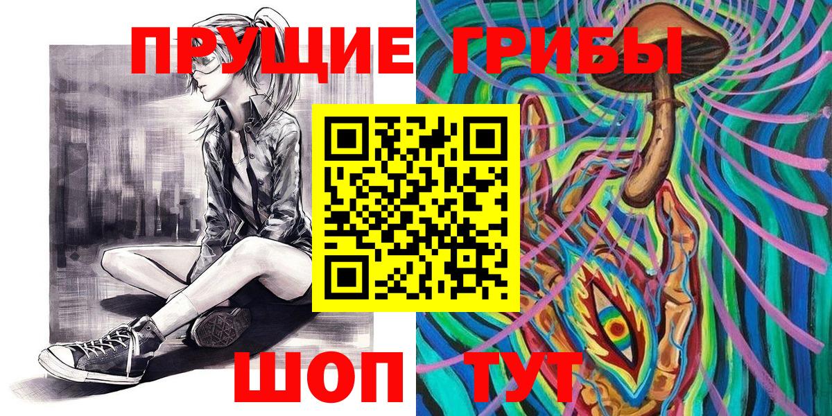 Кинель  Псилоцибиновые грибы Psilocybe  Вход с VPN 